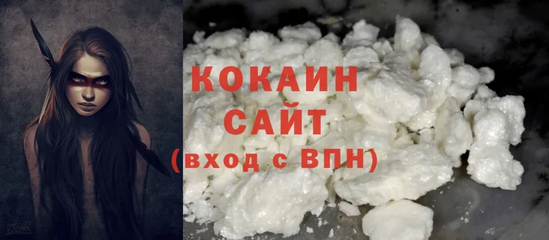 COCAIN Fish Scale  сколько стоит  Качканар 